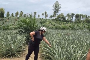 Khao Lak: Halvdagstur til vandfald og søer med frokost