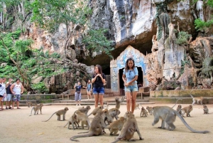 카오락: 제임스 본드 섬 & 롱테일 보트로 즐기는 카누 투어