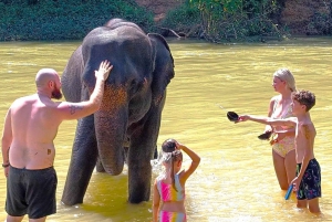 Khao Lak: Prywatna opieka nad słoniami w Khao Sok i spływ bambusem