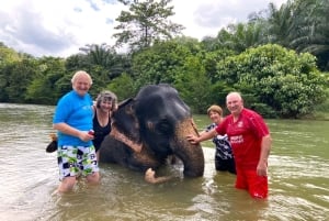 Khao Lak: Khao Sok Private Elephant Daycare & Bamboo Rafting