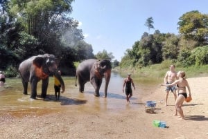 Khao Lak: Khao Sok Private Elephant Daycare & Bamboo Rafting