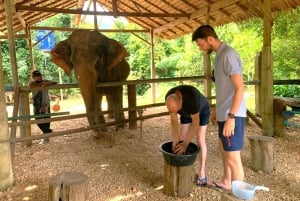 Khao Lak: Khao Sok Private Elephant Daycare & Bamboo Rafting