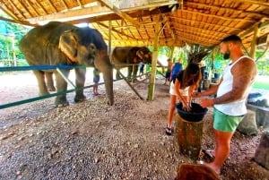 Khao Lak: Khao Sok Private Elephant Daycare & Bamboo Rafting