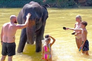 Khao Lak: Khao Sok Private Elephant Daycare & Bamboo Rafting