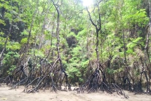 Khao Lak: Wycieczka o wschodzie słońca po zatoce Phang Nga łodzią VIP Longtail