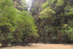 Khao Lak: Wycieczka o wschodzie słońca po zatoce Phang Nga łodzią VIP Longtail