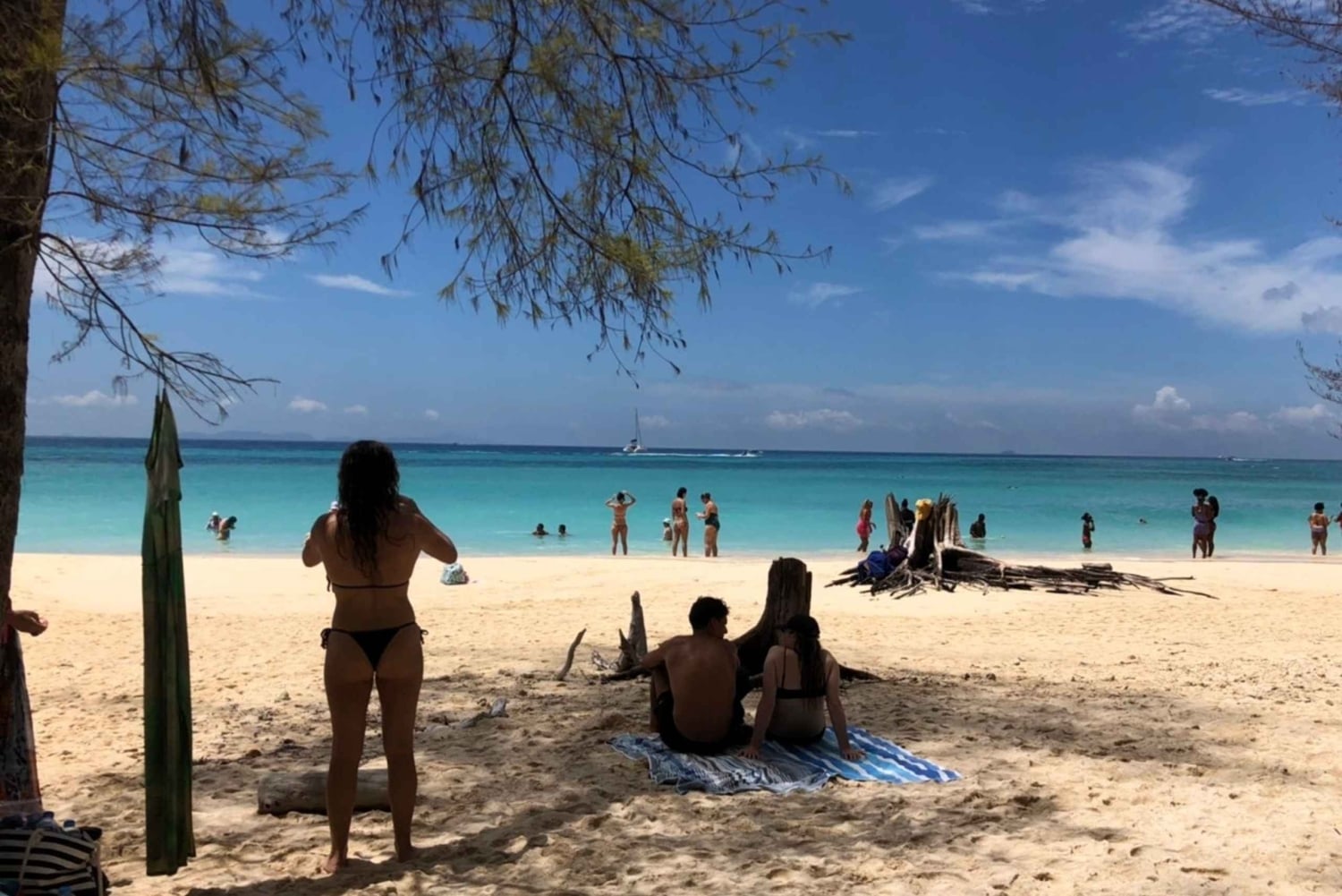 Khao Lak: Phi Phi i Bamboo Island - 1-dniowa wycieczka łodzią motorową
