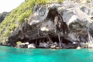 Khao Lak: Phi Phi i Bamboo Island - 1-dniowa wycieczka łodzią motorową