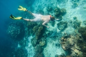 Khao Lak: Phi Phi i Bamboo Island - 1-dniowa wycieczka łodzią motorową