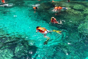 Khao Lak: Phi Phi i Bamboo Island - 1-dniowa wycieczka łodzią motorową