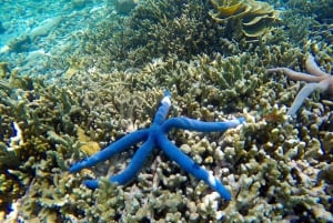 Khao Lak: Phi Phi Island, Maya Beach ja snorklaus päiväretki: Phi Phi Island, Maya Beach ja snorklaus päiväretki