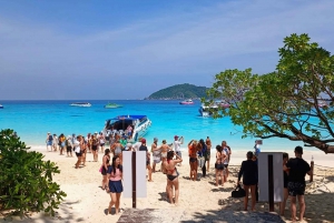 De Khao Lak e Phuket: Viagem às Ilhas Similan de lancha rápida