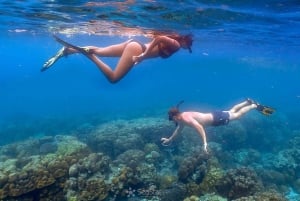 Khao Lak: Premium Tour to Surin Islands with Snorkel & Lunch