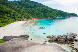 카오락 : 시밀란 제도 스피드 카타마란 프리미엄 모닝