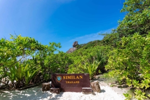 카오락 : 시밀란 제도 스피드 카타마란 프리미엄 모닝