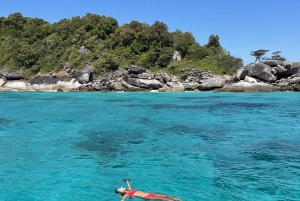 카오락 : 시밀란 제도 스피드 카타마란 프리미엄 모닝