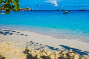 카오락 : 시밀란 제도 스피드 카타마란 프리미엄 모닝