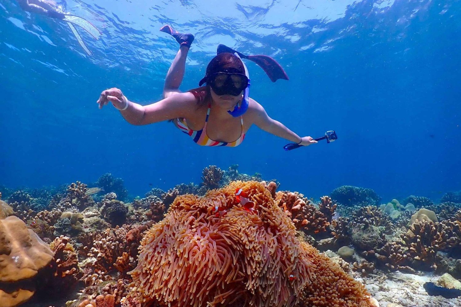 Khao Lak: Schnorcheltour mit dem Schnellboot nach Koh Haa und Koh Rok