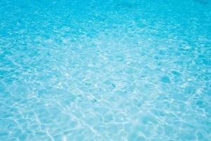 카오락: 라차섬 쾌속선 투어(스노클링 및 점심 포함)