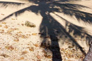 Khao Lak: Traditional boat to Phang Nga Bay and Hong Island