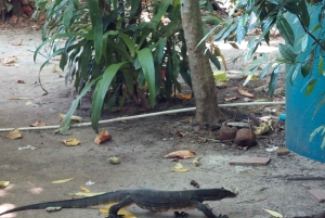 Khao Lak: Traditional boat to Phang Nga Bay and Hong Island