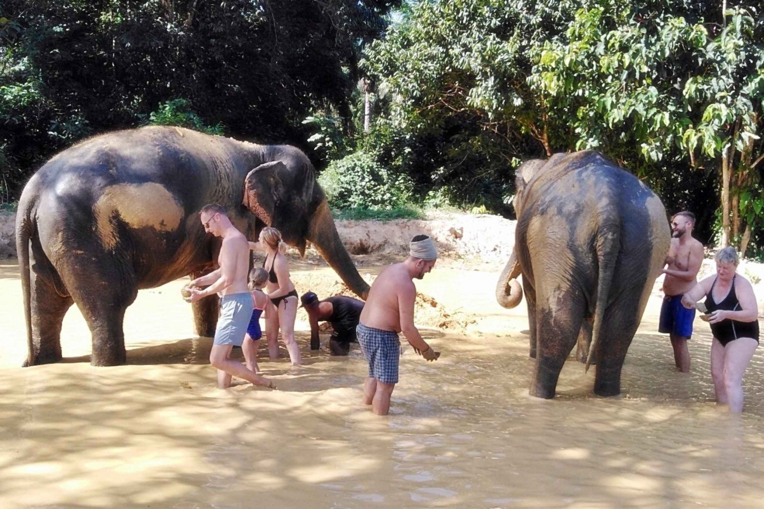 Khao Sok: Private Elephant Day Care and Bamboo Rafting