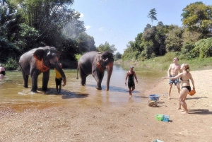Khao Sok: Private Elephant Day Care and Bamboo Rafting