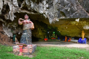 Khao Sok: Private Elephant Day Care and Bamboo Rafting