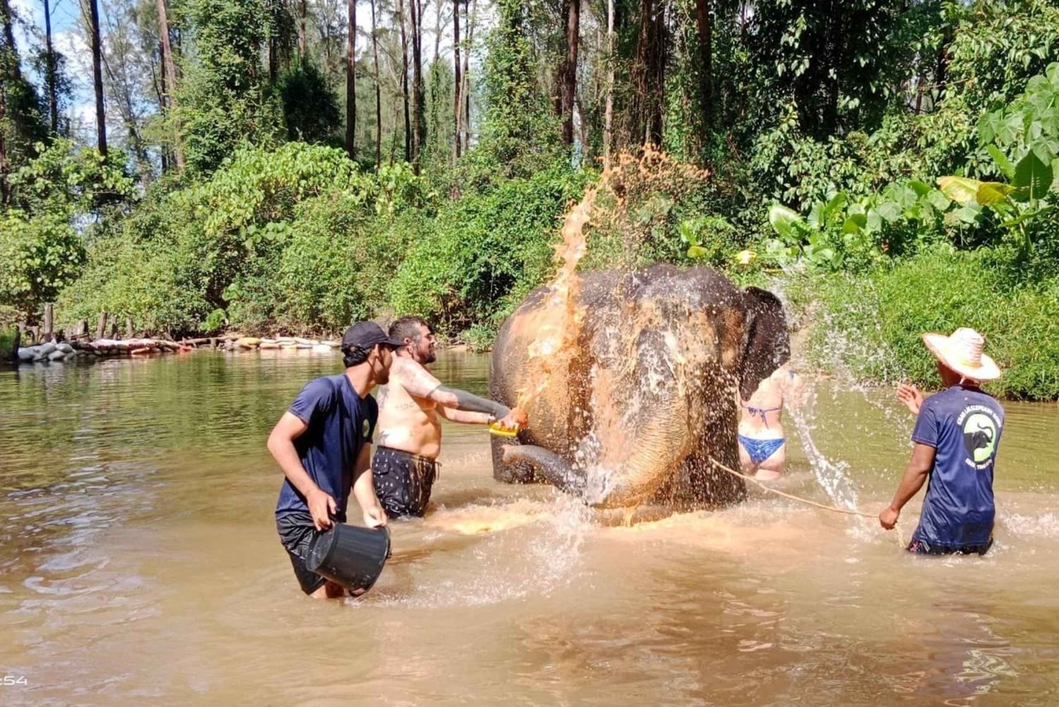 Khaolak: Elephant Interaction in Sanctuary with Bamboo Raft