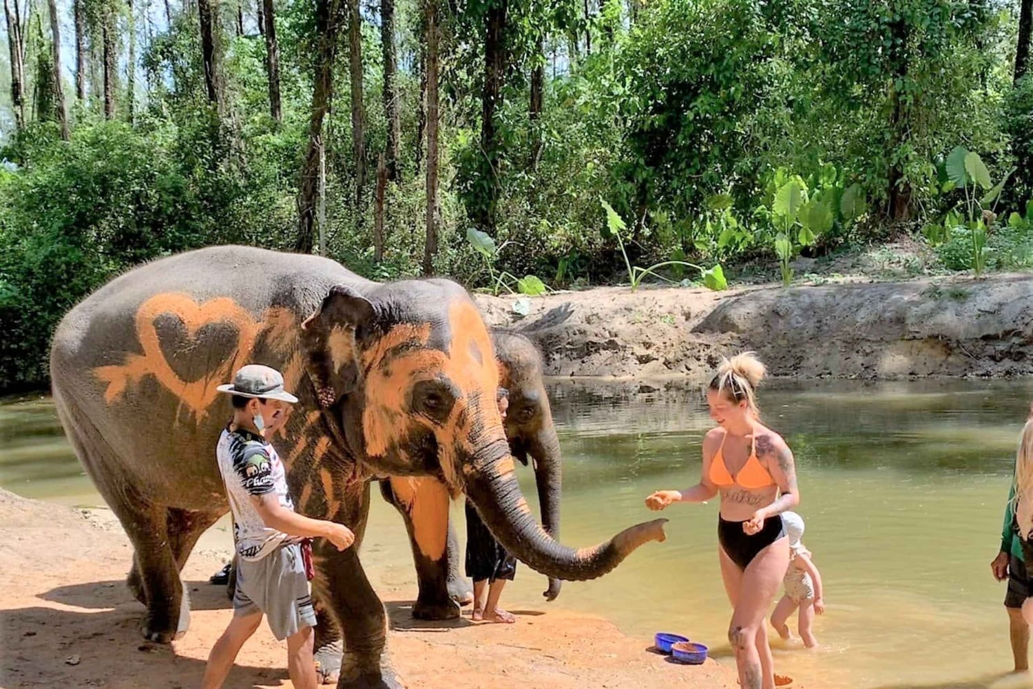 Khaolak: Elephant Interaction in Sanctuary with Bamboo Raft