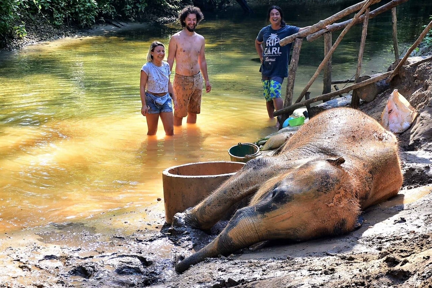 Khaolak: Elephant Interaction in Sanctuary with Bamboo Raft