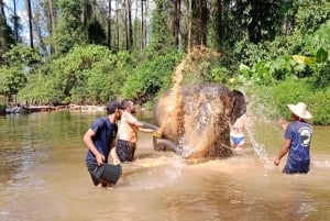 Khaolak: Elephant Interaction in Sanctuary with Bamboo Raft