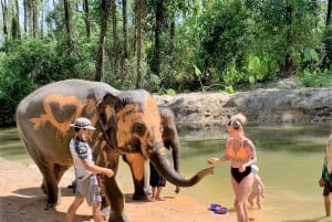 Khaolak: Elephant Interaction in Sanctuary with Bamboo Raft