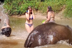 Khaolak: Elephant Interaction in Sanctuary with Bamboo Raft