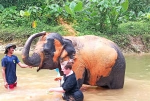 Khaolak: Elephant Interaction in Sanctuary with Bamboo Raft