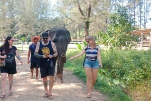 Khaolak: Elephant Interaction in Sanctuary with Bamboo Raft