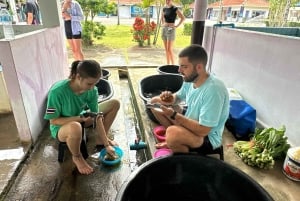 Khaolak: Elephant Interaction in Sanctuary with Bamboo Raft