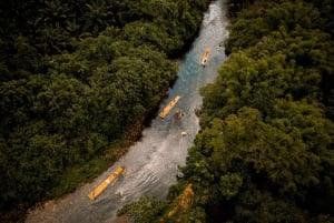 Khaolak: Elephant Interaction in Sanctuary with Bamboo Raft