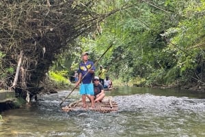 Khaolak: Elephant Interaction in Sanctuary with Bamboo Raft