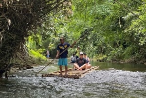 Khaolak: Elephant Interaction in Sanctuary with Bamboo Raft