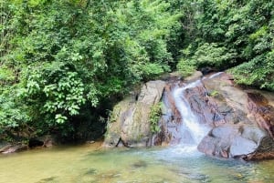 Khaolak: Elephant Interaction in Sanctuary with Bamboo Raft