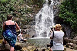 Khaolak: Elephant Sanctuary with Turtle Conservation Center