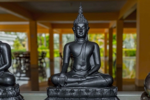 Khaolak: Elephant Sanctuary with Turtle Conservation Center