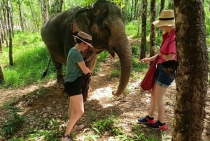 Besuch des ethischen Elefanten-Naturparks Khaolak mit Mittagessen