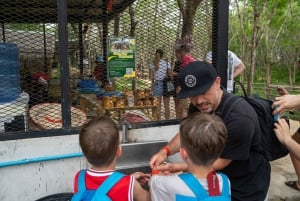 Visita ao Khaolak Ethical Elephant Nature Park com almoço