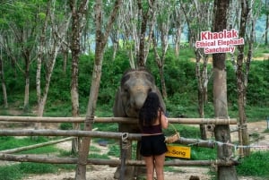 Visita ao Khaolak Ethical Elephant Nature Park com almoço