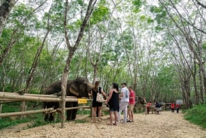 Visita ao Khaolak Ethical Elephant Nature Park com almoço