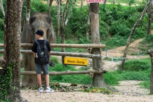 Visita ao Khaolak Ethical Elephant Nature Park com almoço