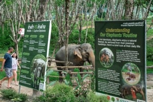 Visita ao Khaolak Ethical Elephant Nature Park com almoço