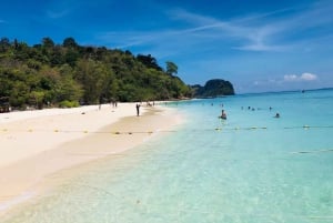 Khaolak: Phi Phi Insel & Maya Bay mit deutschem Guide & Mittagessen
